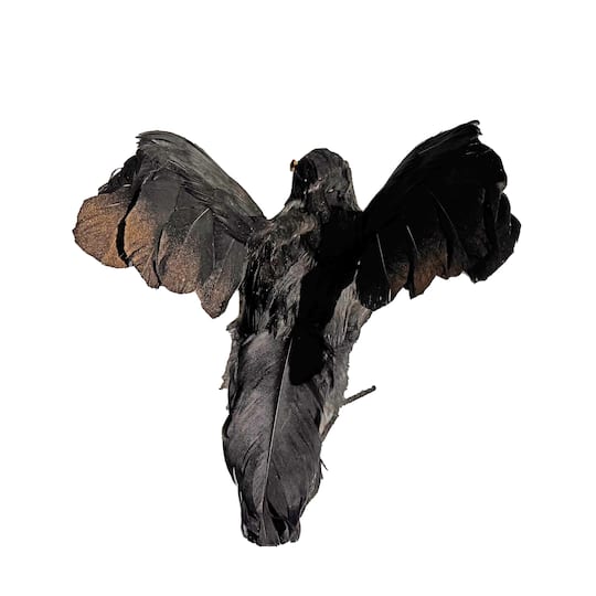8.5" Iridescent Black Flying Crow Décor by Ashland®
